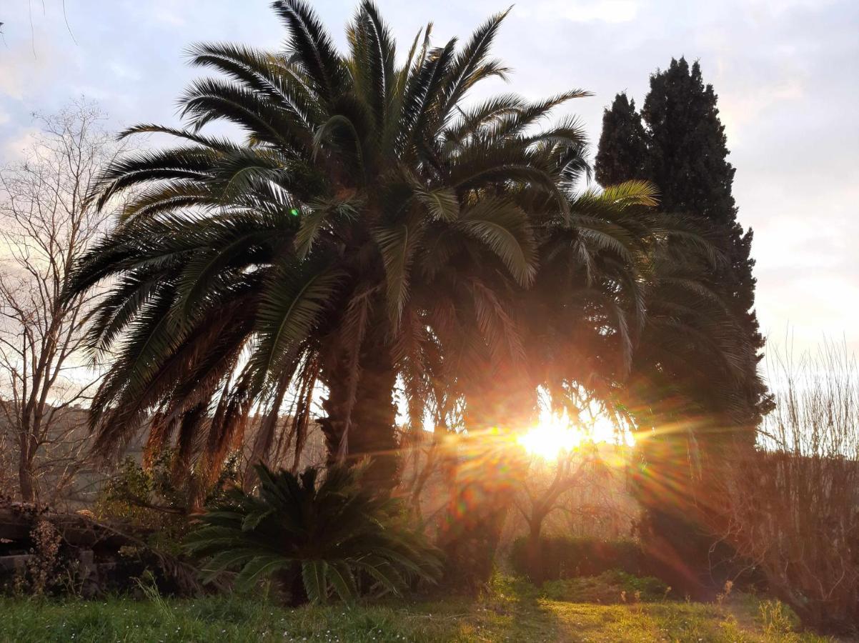 La Meriggia Senigallia Agriturismo 安科纳 外观 照片